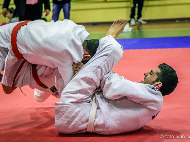 judo shiai