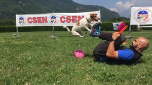 Adrian Stoica Csen Milano Addestramento cani