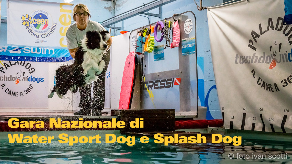 Gara Nazionale Di Water Sport Dog E Splash Dog